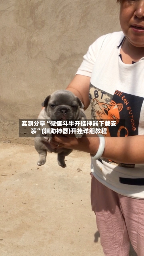 实测分享“微信斗牛开挂神器下载安装”(辅助神器)开挂详细教程-第1张图片