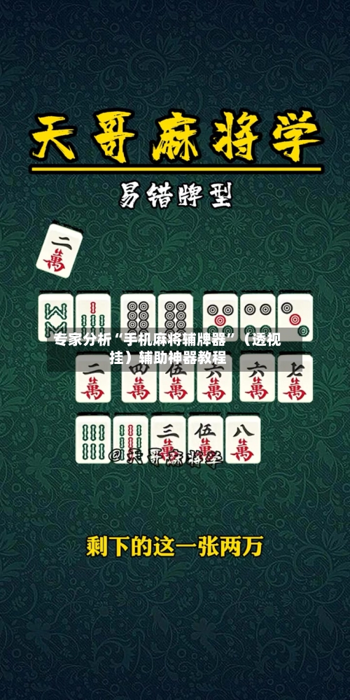 专家分析“手机麻将辅牌器”（透视挂）辅助神器教程-第3张图片