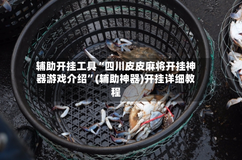 辅助开挂工具“四川皮皮麻将开挂神器游戏介绍”(辅助神器)开挂详细教程-第3张图片