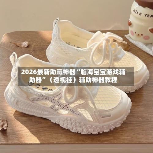 2026最新助赢神器“临海宝宝游戏辅助器”（透视挂）辅助神器教程-第3张图片