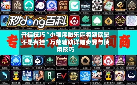 开挂技巧“小程序微乐麻将到底是不是有挂	”万能辅助详细步骤与使用技巧-第2张图片