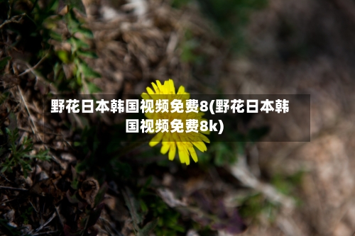 野花日本韩国视频免费8(野花日本韩国视频免费8k)-第1张图片