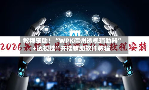 教程辅助！“WPK德州透视辅助器”+透视挂”开挂辅助软件教程-第3张图片