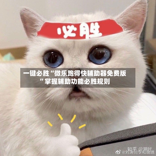 一键必胜“微乐跑得快辅助器免费版”掌握辅助功能必胜规则-第3张图片