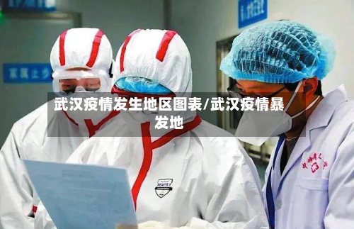武汉疫情发生地区图表/武汉疫情暴发地-第1张图片