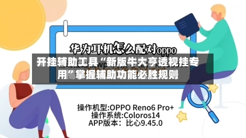 开挂辅助工具“新版牛大亨透视挂专用	”掌握辅助功能必胜规则-第2张图片