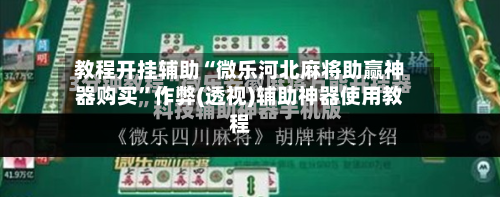 教程开挂辅助“微乐河北麻将助赢神器购买”作弊(透视)辅助神器使用教程-第2张图片