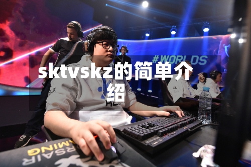 sktvskz的简单介绍-第1张图片