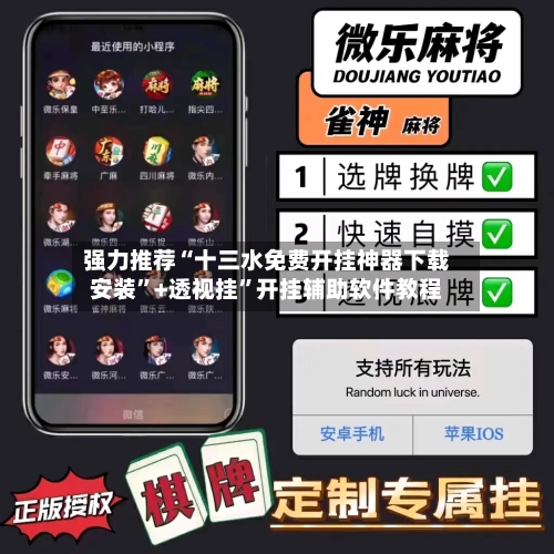 强力推荐“十三水免费开挂神器下载安装”+透视挂”开挂辅助软件教程-第3张图片