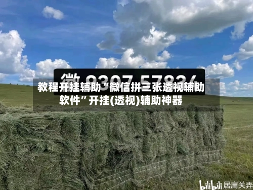 教程开挂辅助“微信拼三张透视辅助软件”开挂(透视)辅助神器-第1张图片