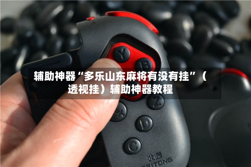 辅助神器“多乐山东麻将有没有挂”（透视挂）辅助神器教程-第3张图片