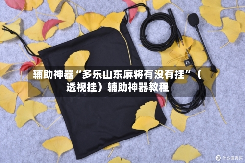辅助神器“多乐山东麻将有没有挂	”（透视挂）辅助神器教程-第2张图片