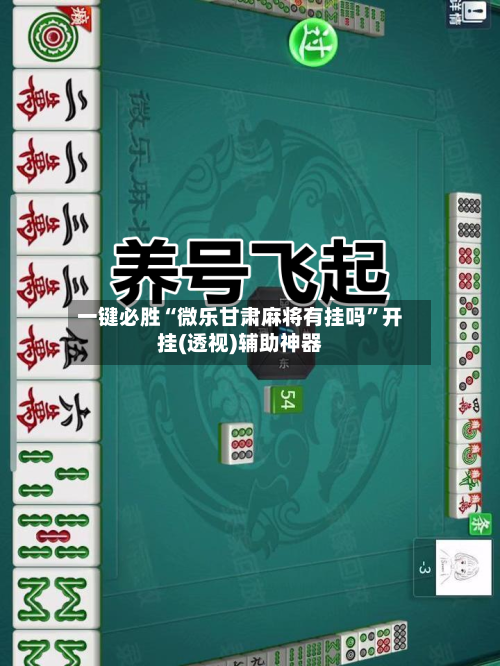 一键必胜“微乐甘肃麻将有挂吗”开挂(透视)辅助神器-第3张图片