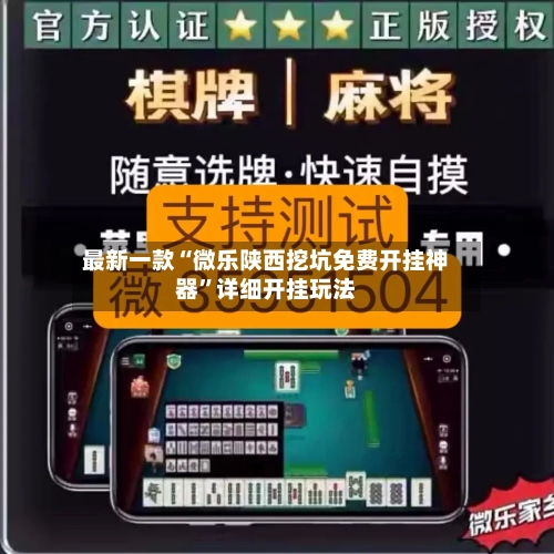 最新一款“微乐陕西挖坑免费开挂神器”详细开挂玩法-第1张图片