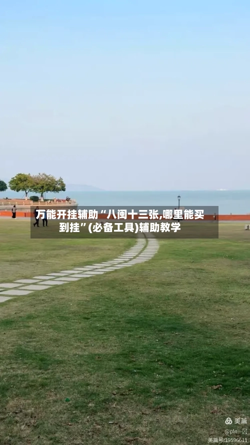 万能开挂辅助“八闽十三张,哪里能买到挂”(必备工具)辅助教学-第2张图片