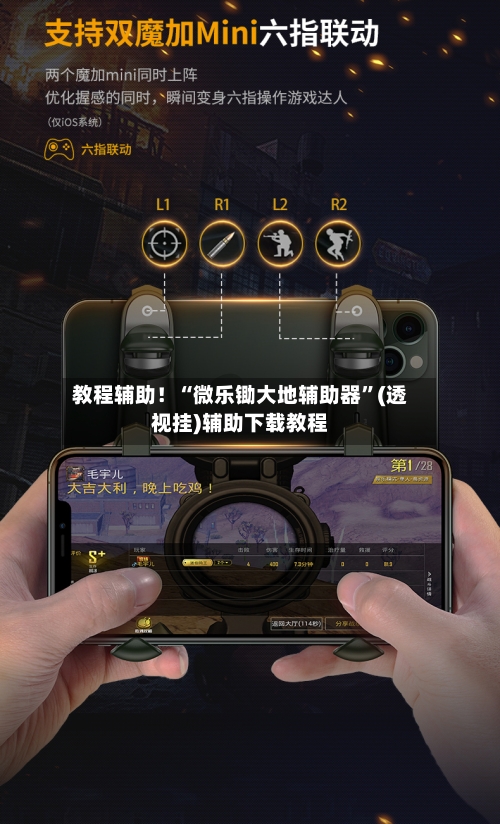教程辅助！“微乐锄大地辅助器”(透视挂)辅助下载教程-第3张图片