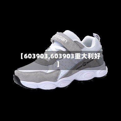 【603903,603903重大利好】-第3张图片