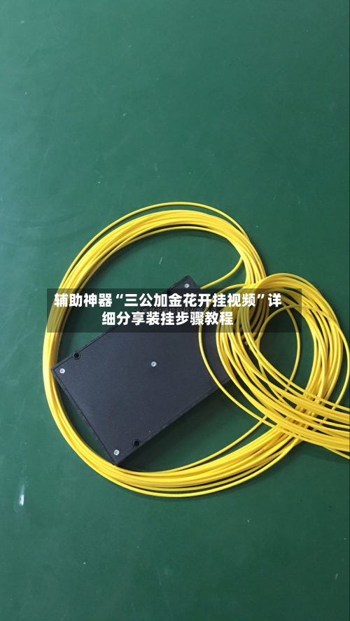 辅助神器“三公加金花开挂视频	”详细分享装挂步骤教程-第1张图片