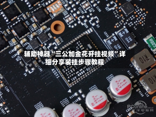 辅助神器“三公加金花开挂视频”详细分享装挂步骤教程-第2张图片