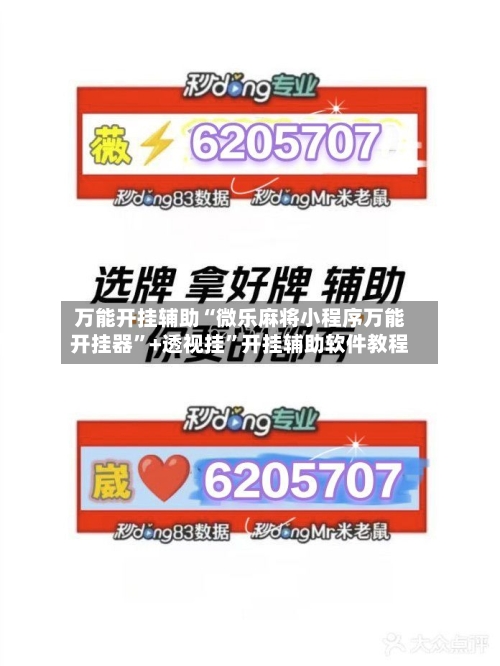 万能开挂辅助“微乐麻将小程序万能开挂器”+透视挂”开挂辅助软件教程-第3张图片