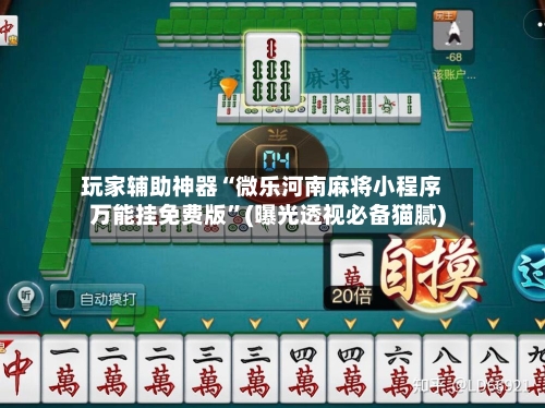 玩家辅助神器“微乐河南麻将小程序万能挂免费版”(曝光透视必备猫腻)-第1张图片