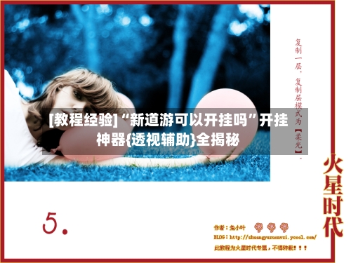 [教程经验]“新道游可以开挂吗”开挂神器{透视辅助}全揭秘-第2张图片