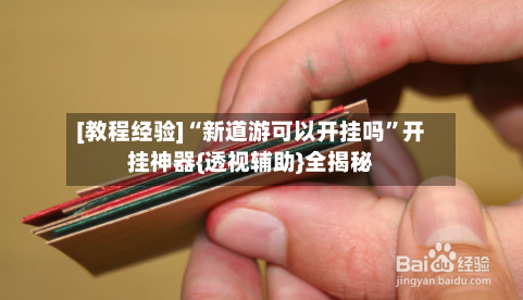 [教程经验]“新道游可以开挂吗”开挂神器{透视辅助}全揭秘-第3张图片