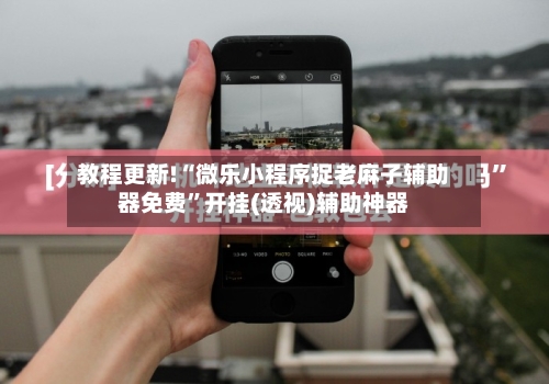 教程更新!“微乐小程序捉老麻子辅助器免费”开挂(透视)辅助神器-第1张图片