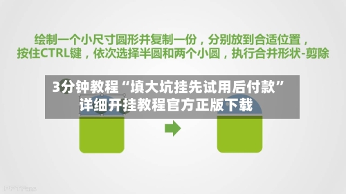 3分钟教程“填大坑挂先试用后付款”详细开挂教程官方正版下载-第2张图片