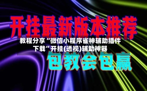教程分享“微信小程序雀神辅助插件下载”开挂(透视)辅助神器-第3张图片