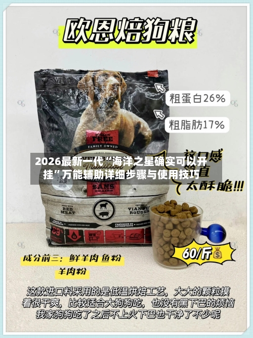 2026最新一代“海洋之星确实可以开挂	”万能辅助详细步骤与使用技巧-第1张图片