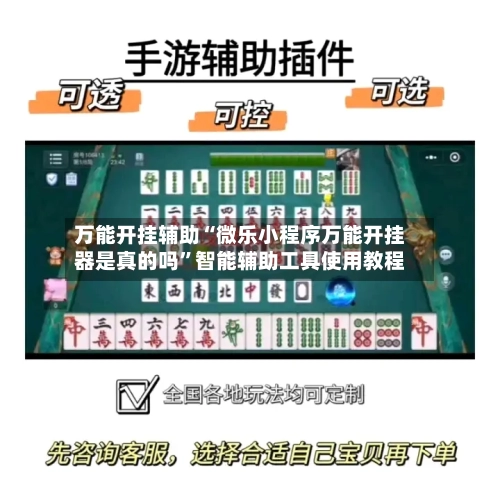 万能开挂辅助“微乐小程序万能开挂器是真的吗”智能辅助工具使用教程-第3张图片