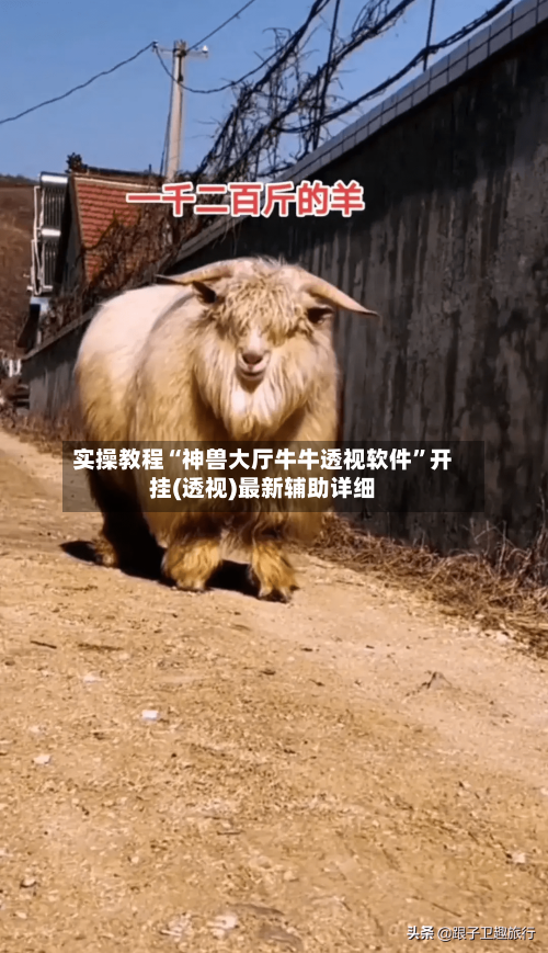 实操教程“神兽大厅牛牛透视软件”开挂(透视)最新辅助详细-第1张图片