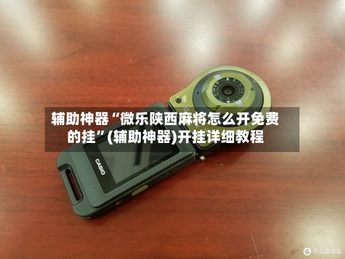 辅助神器“微乐陕西麻将怎么开免费的挂”(辅助神器)开挂详细教程-第3张图片