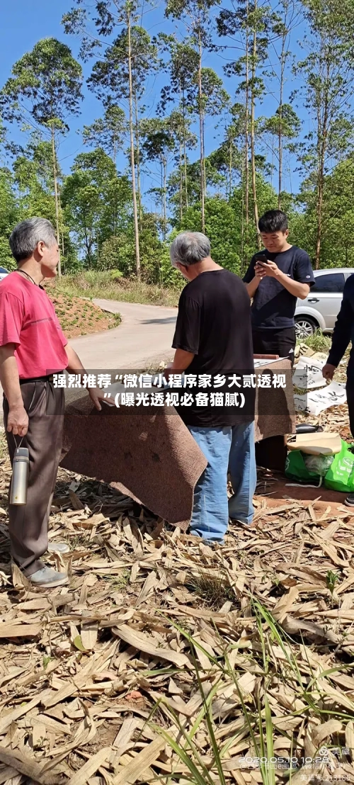 强烈推荐“微信小程序家乡大贰透视”(曝光透视必备猫腻)-第1张图片