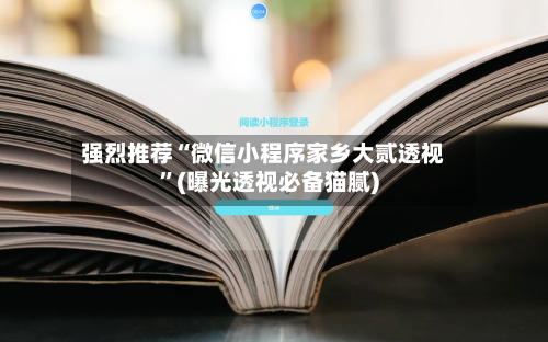强烈推荐“微信小程序家乡大贰透视	”(曝光透视必备猫腻)-第2张图片