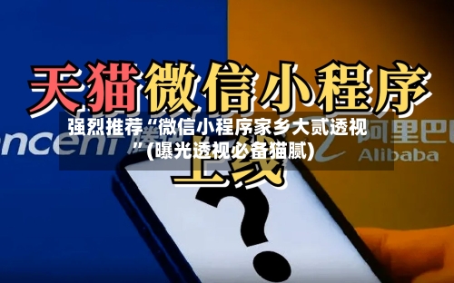 强烈推荐“微信小程序家乡大贰透视”(曝光透视必备猫腻)-第3张图片