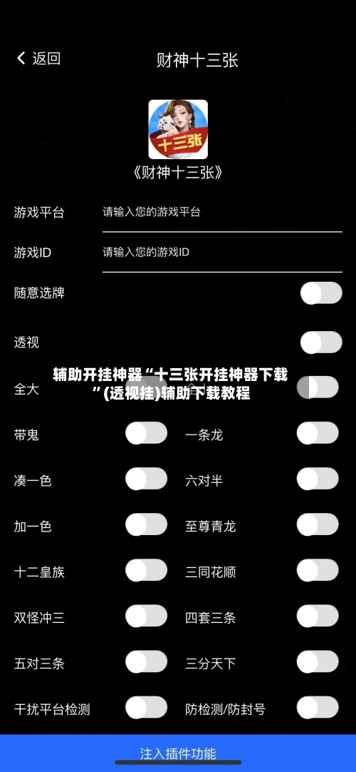 辅助开挂神器“十三张开挂神器下载”(透视挂)辅助下载教程-第1张图片