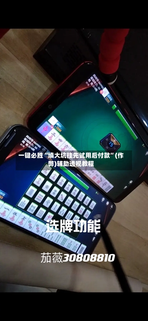 一键必胜“填大坑挂先试用后付款	”(作弊)辅助透视教程-第2张图片