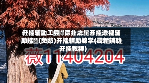 开挂辅助工具“德扑之星开挂透视辅助挂	”(免费)开挂辅助教学(最新辅助开挂教程)-第2张图片