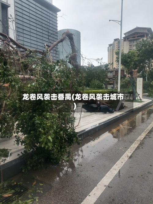 龙卷风袭击番禺(龙卷风袭击城市)-第1张图片