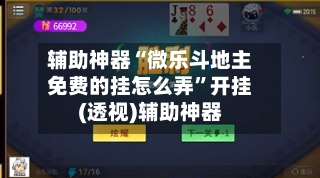 辅助神器“微乐斗地主免费的挂怎么弄	”开挂(透视)辅助神器-第1张图片