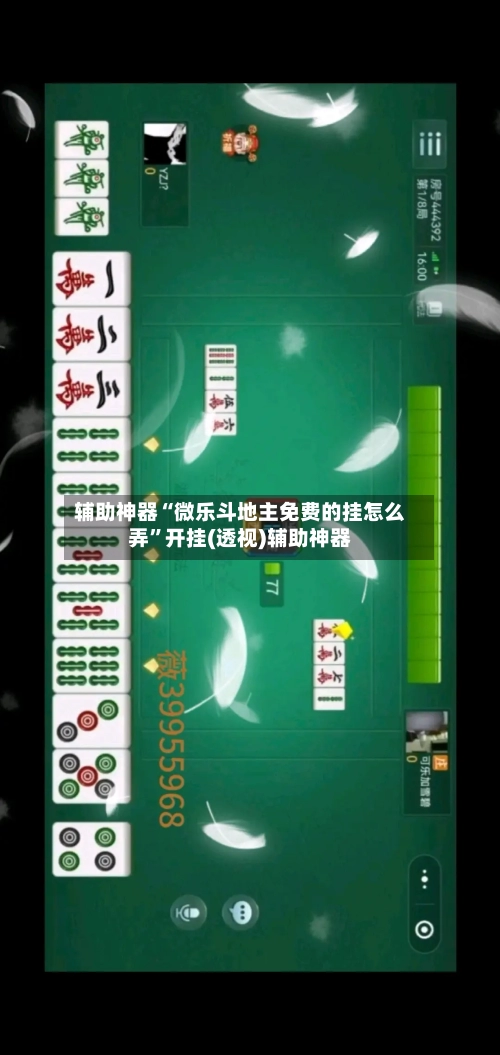 辅助神器“微乐斗地主免费的挂怎么弄”开挂(透视)辅助神器-第3张图片