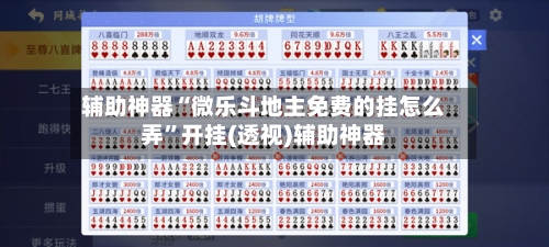 辅助神器“微乐斗地主免费的挂怎么弄”开挂(透视)辅助神器-第2张图片