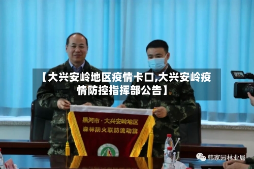 【大兴安岭地区疫情卡口,大兴安岭疫情防控指挥部公告】-第1张图片