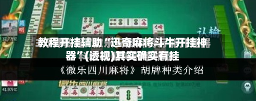 教程开挂辅助“迅奇麻将斗牛开挂神器”(透视)其实确实有挂-第2张图片
