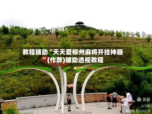 教程辅助“天天爱柳州麻将开挂神器	”(作弊)辅助透视教程-第3张图片