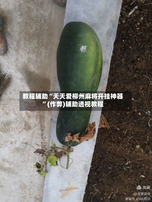 教程辅助“天天爱柳州麻将开挂神器”(作弊)辅助透视教程-第1张图片