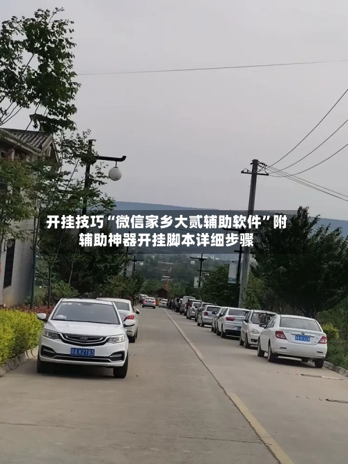 开挂技巧“微信家乡大贰辅助软件”附辅助神器开挂脚本详细步骤-第1张图片