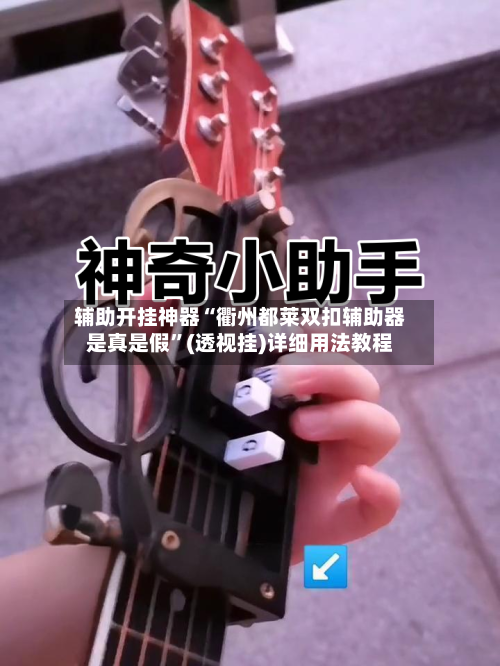 辅助开挂神器“衢州都莱双扣辅助器是真是假”(透视挂)详细用法教程-第2张图片